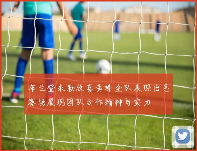 布兰登米勒欣喜黄蜂全队表现出色赛场展现团队合作精神与实力