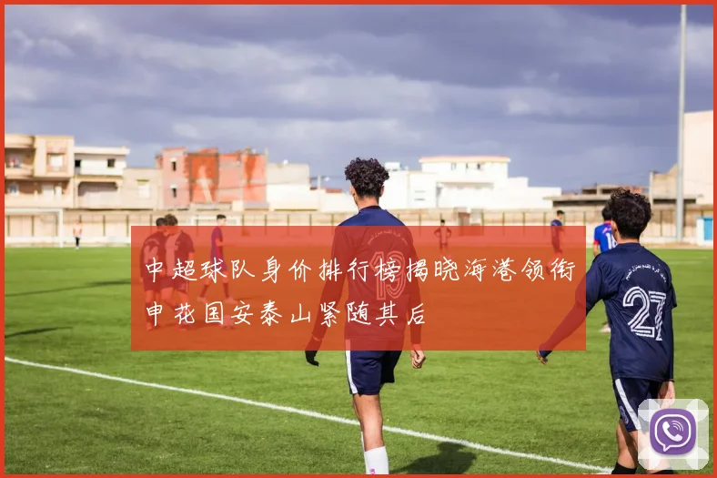 中超球队身价排行榜揭晓海港领衔申花国安泰山紧随其后