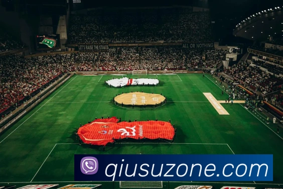 球速体育APP 封面图