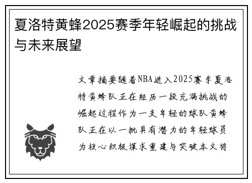 夏洛特黄蜂2025赛季年轻崛起的挑战与未来展望